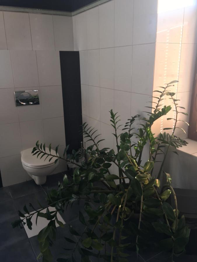 Penzion A Pivnice Varna Velká Bystřice エクステリア 写真